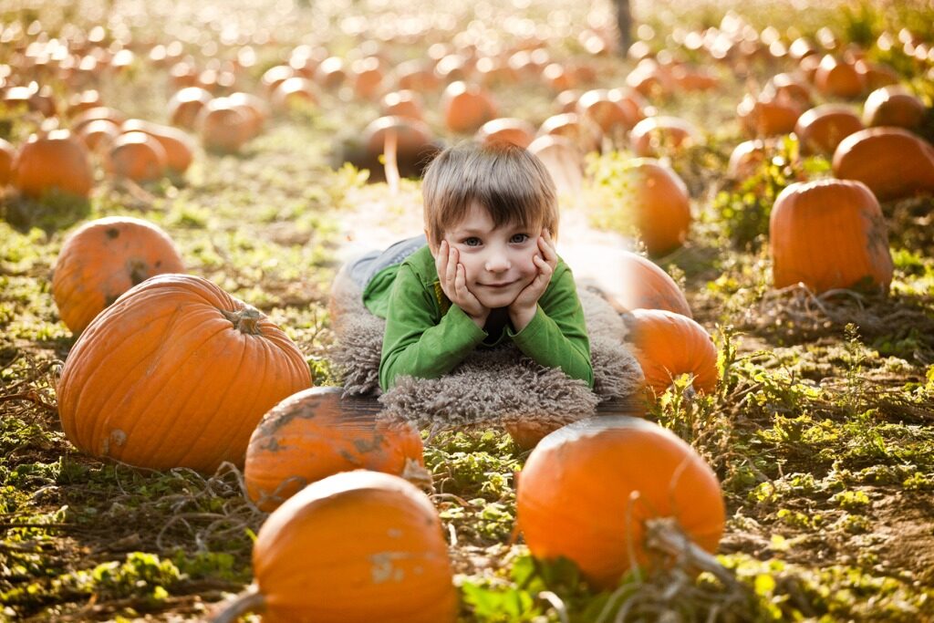 boy in pumpkin field