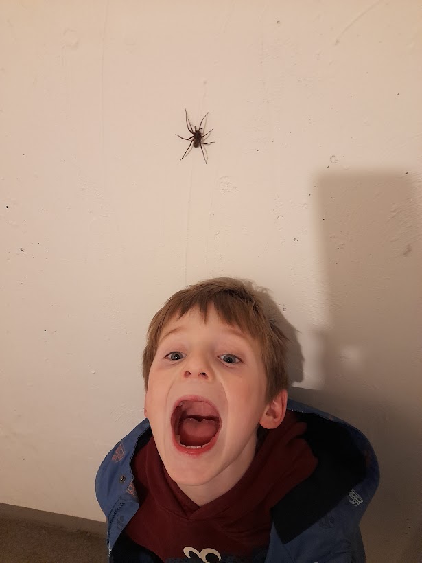 screaming boy with big spider