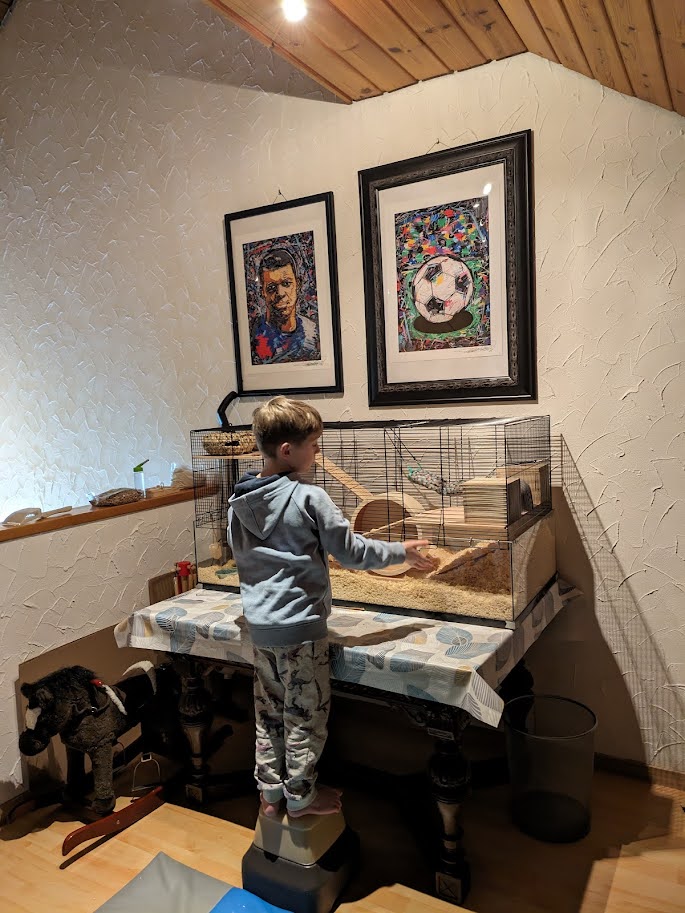 boy with hamster cage