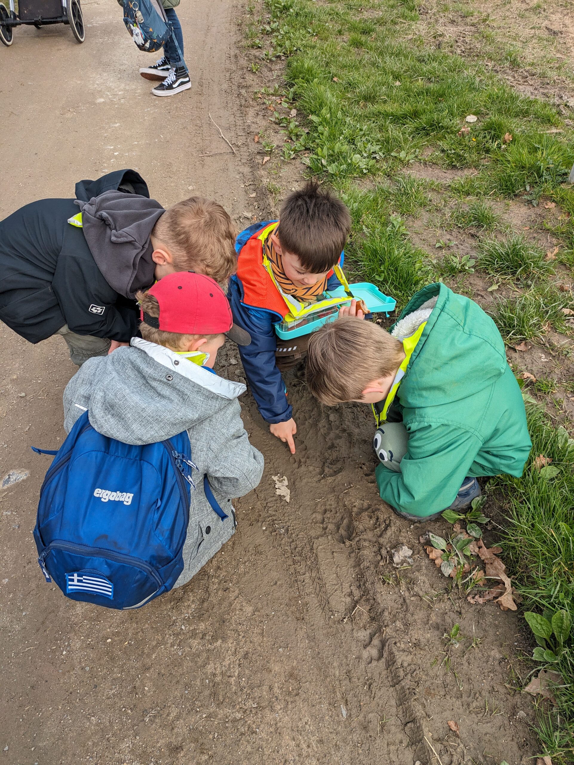 … Go Hiking and Determine Plants with the PlantNet App?