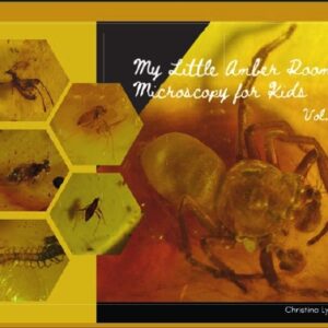 My Little Amber Room: Microscopy for Kids, vol. 1